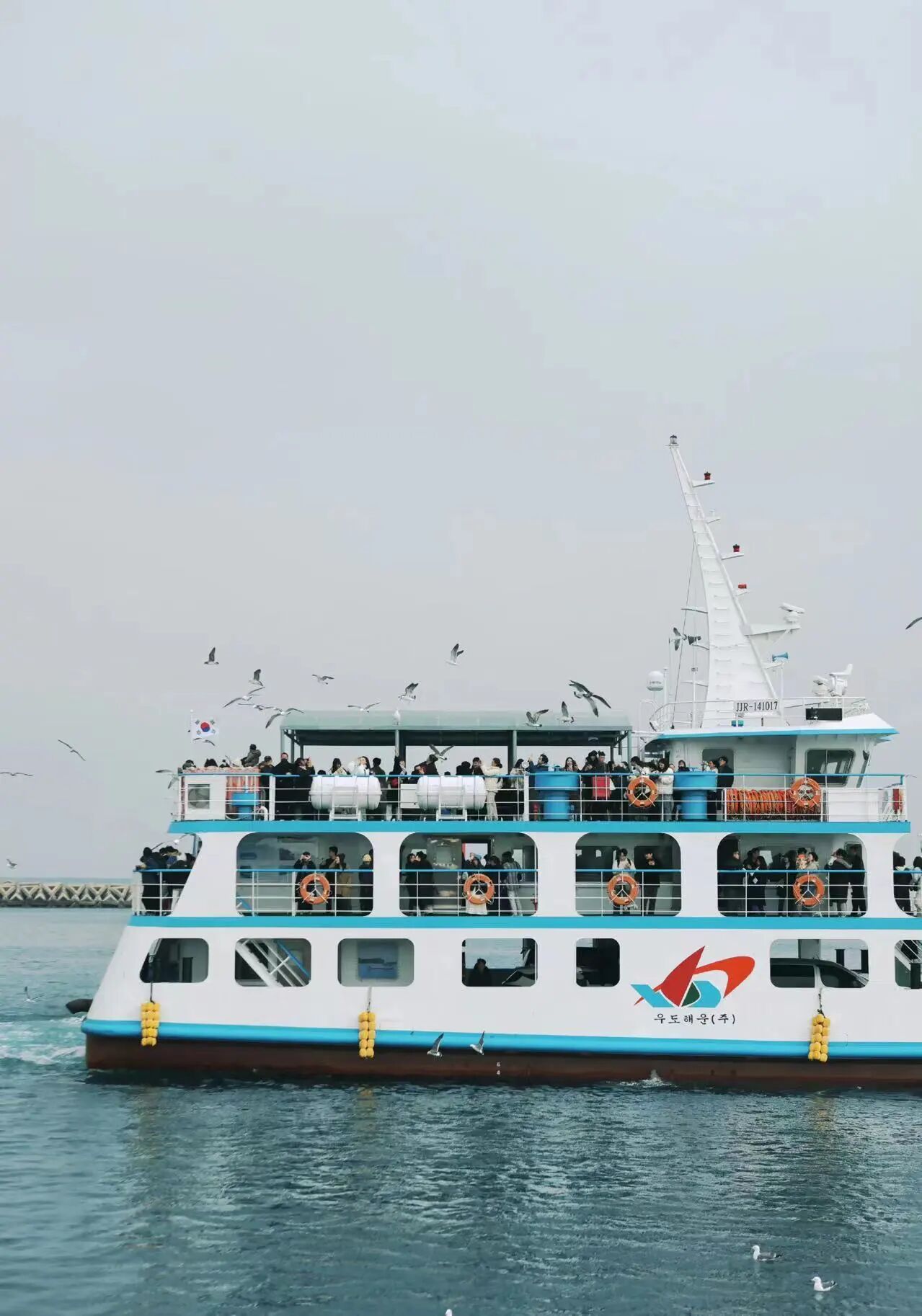 十年相伴，濟州同行 |2025年 通錦精密老員工七夕韓國之旅圓滿收官！